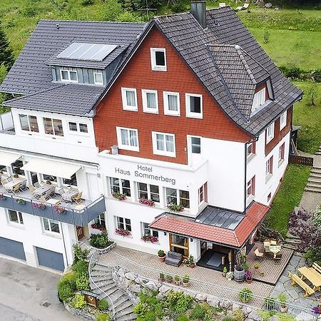 Haus Sommerberg Фельдберг Екстер'єр фото