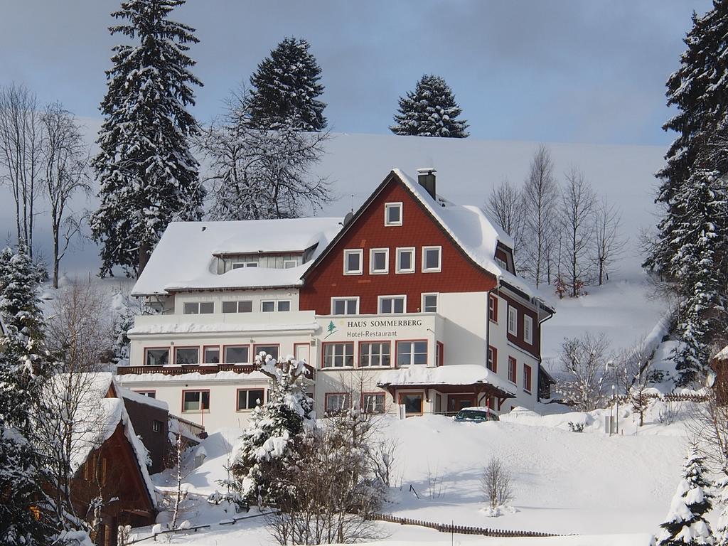 Haus Sommerberg Фельдберг Екстер'єр фото